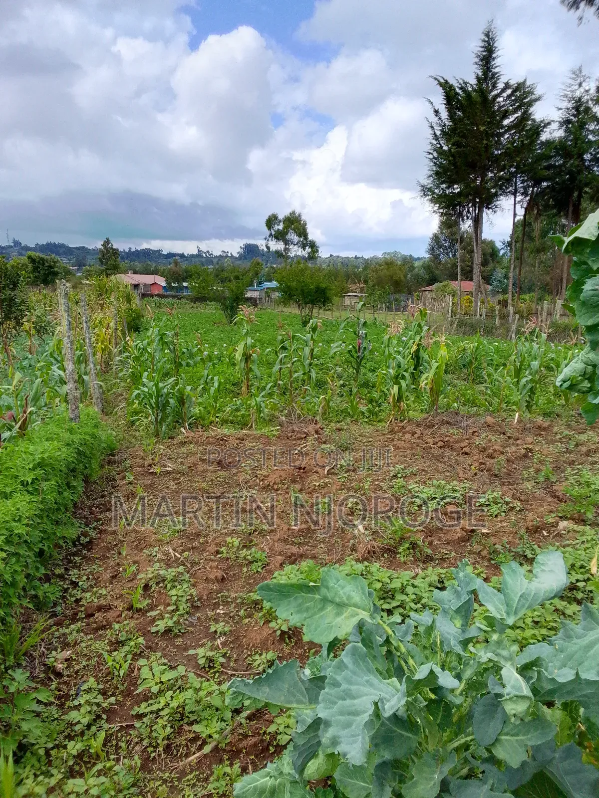 1 Acre Mwendandu