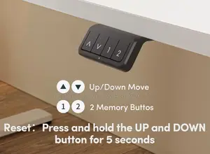 Office Desk: Motorized Electric Adjustable Desk