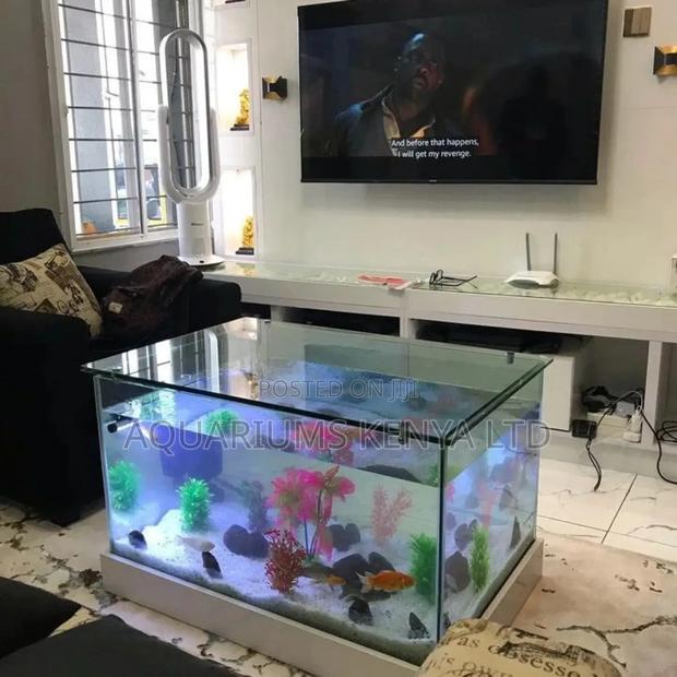 Customized Aquarium as Per Your Preference - main view