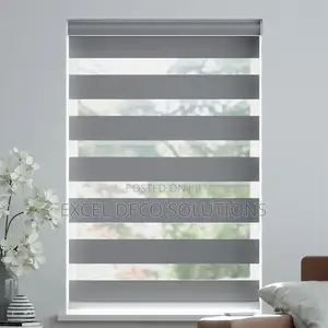 Best Window Option Zebra Blinds