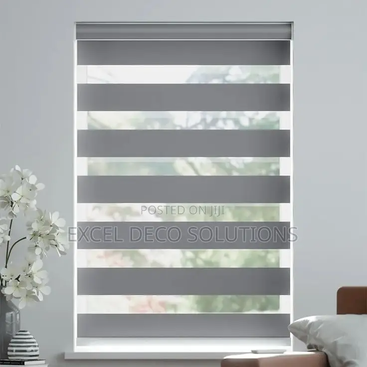 Best Window Option Zebra Blinds