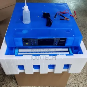 64-Eggs Full Automatic Incubator Ac/Dc
