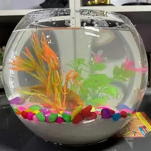 Fish Bowl ,2litre ,2fish, 2plants Gravel