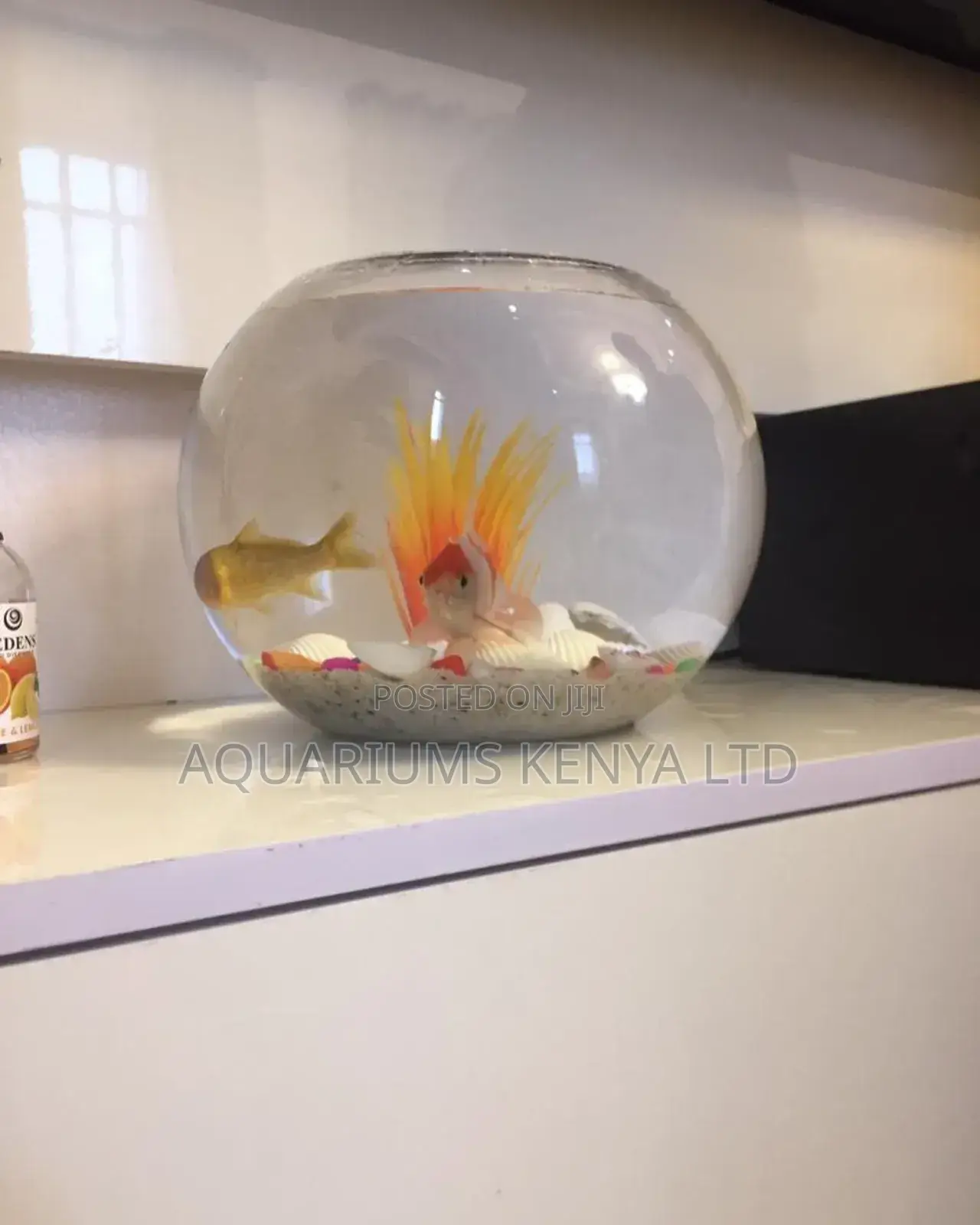 2litre Fish Bowl With 2fish, 2plants , Fish Food Gravel
