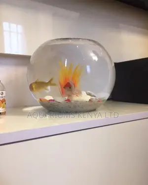 2litre Fish Bowl With 2fish, 2plants , Fish Food Gravel