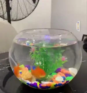 Fish Bowl 