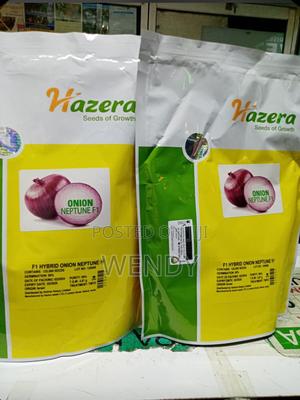 Neptune Onion Seeds - thumbnail 2