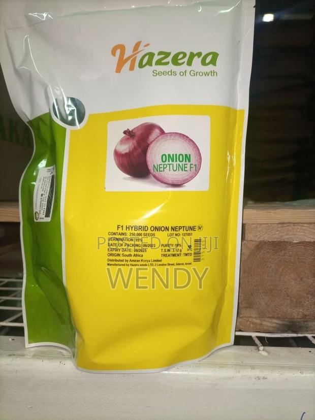 Neptune Onion Seeds - thumbnail 3