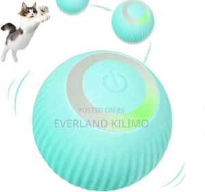 Interactive Toy Ball - thumbnail 2