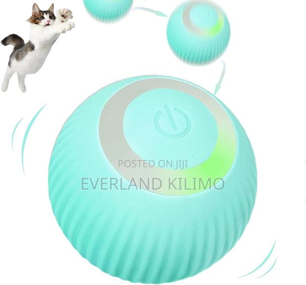 Interactive Toy Ball - main view