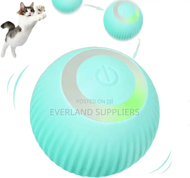 Interactive Toy Ball