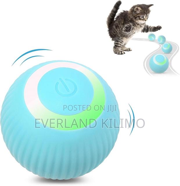 Gravitational Rolling Ball - main view