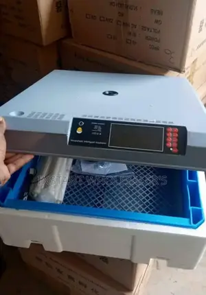 64 Egg Automatic Brooding Incubators