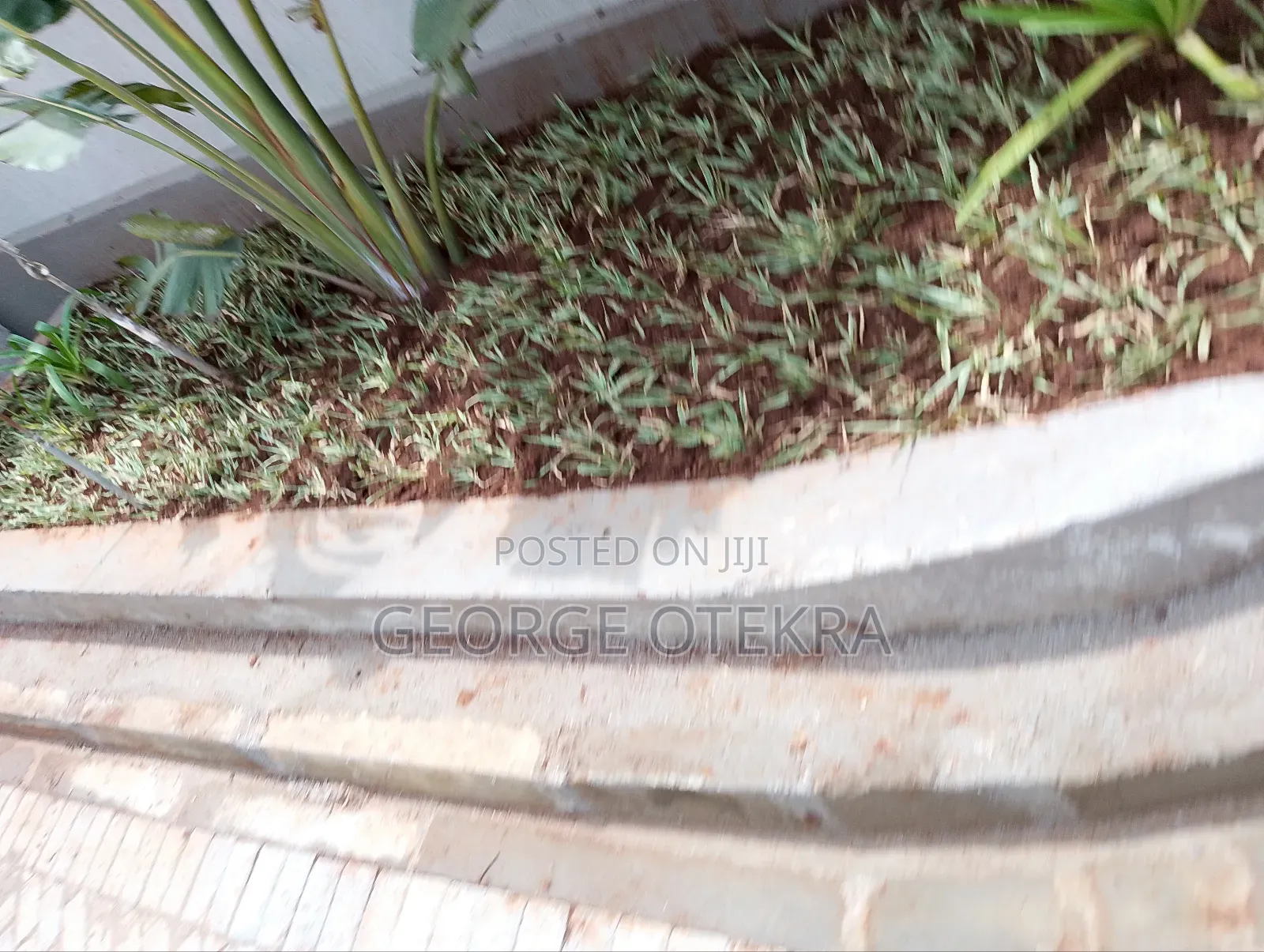 Landscaping