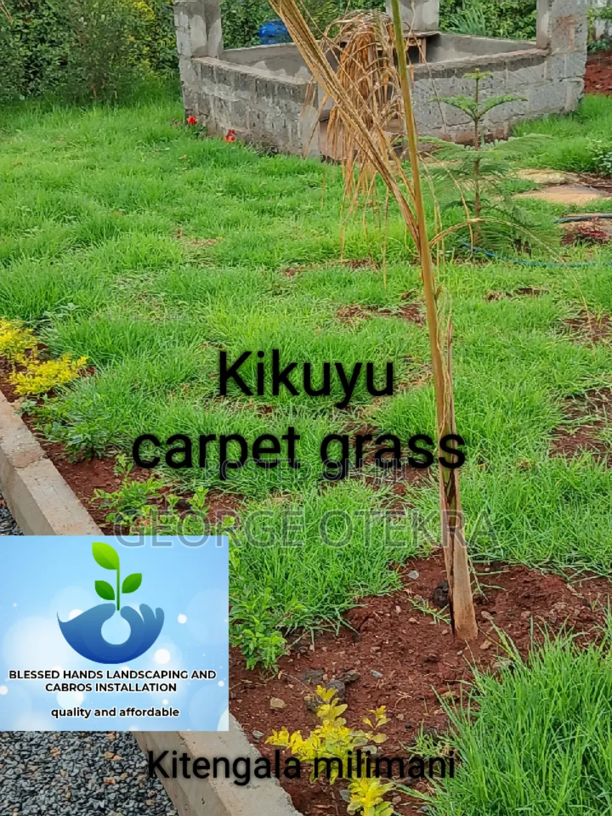 Landscaping