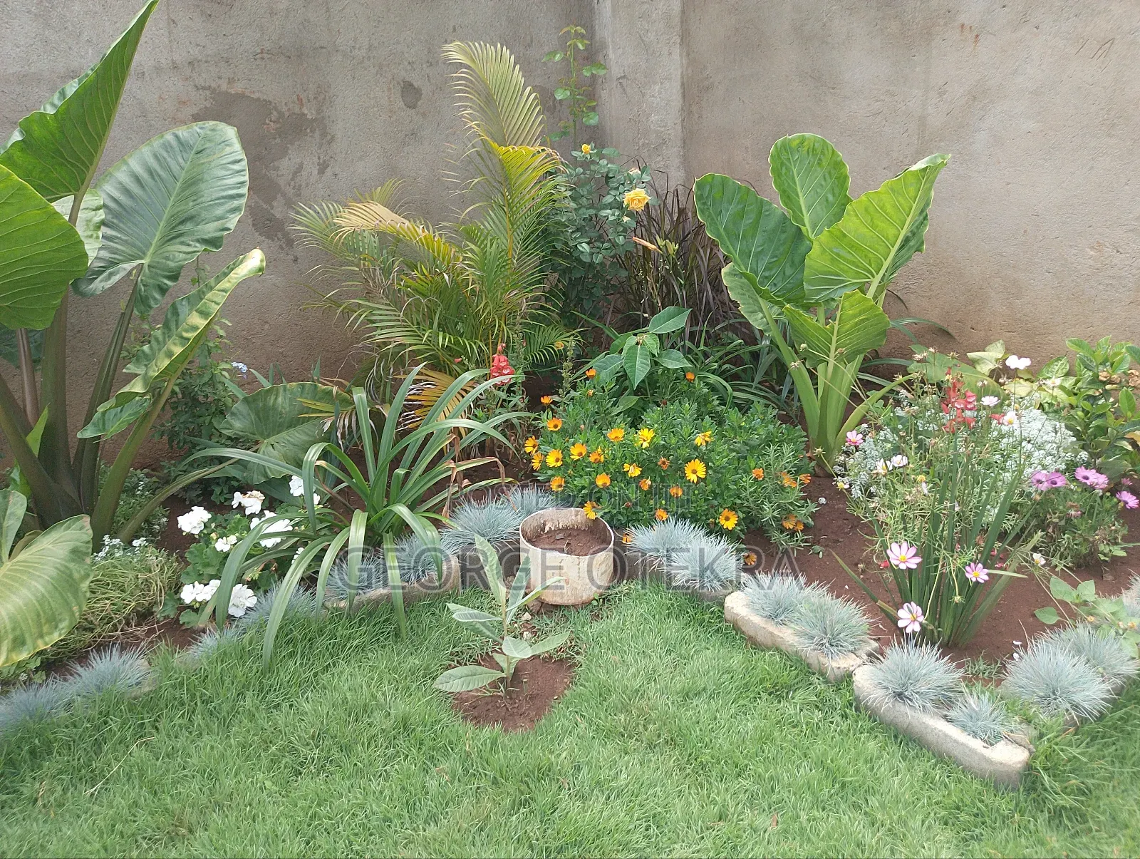 Landscaping