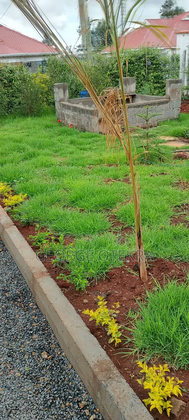 Landscaping