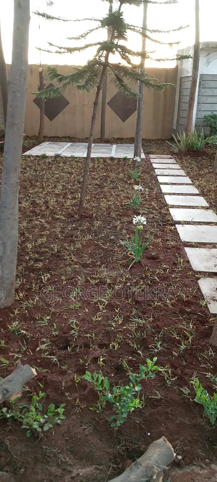 Landscaping