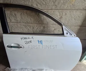 Mark X 2005/8 Front/ Back Door With Switche N Windbreakers