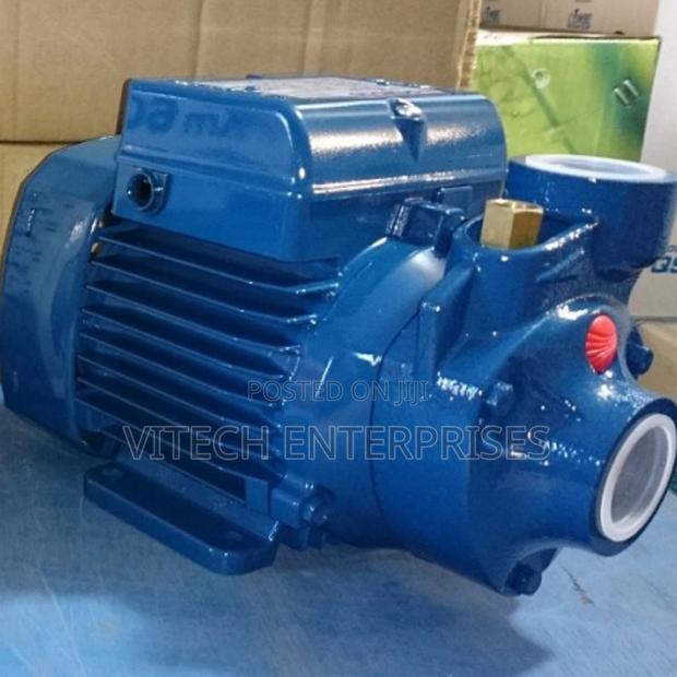 Pedroll Water Pump 0.5 Hp Water Pump - main view