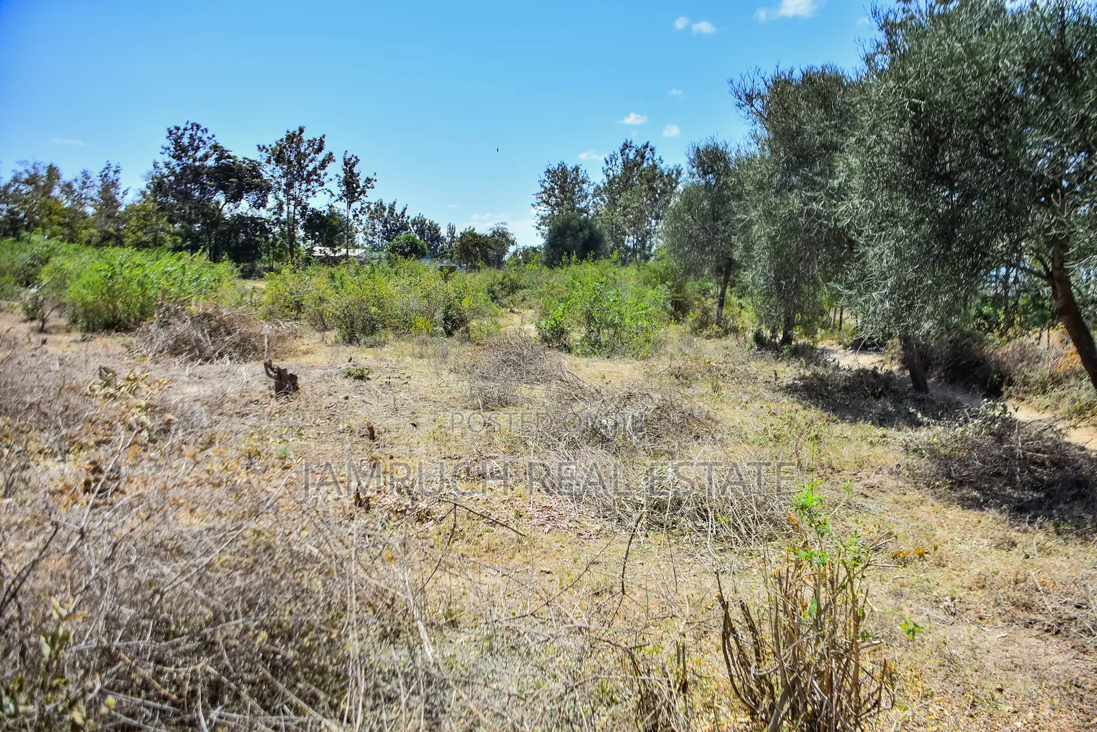 Prime 50x100 Plots in Kithimani