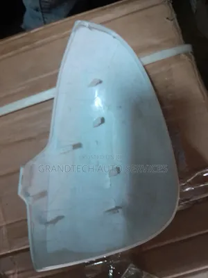 Mark X Side Mirror Cover