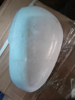 Mark X Side Mirror Cover Available in Stock