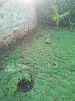 Residential Landscaping