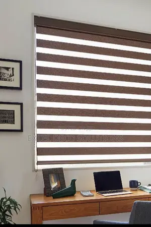 Study Room Window Covering Zebra Shades