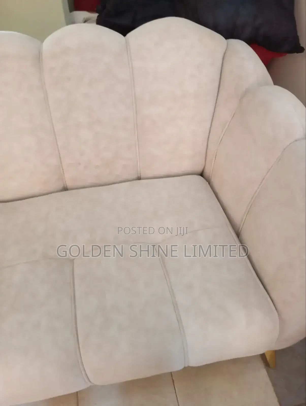 Sofa Cleaning