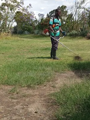 Grass Cutting and Flower Trimmings
