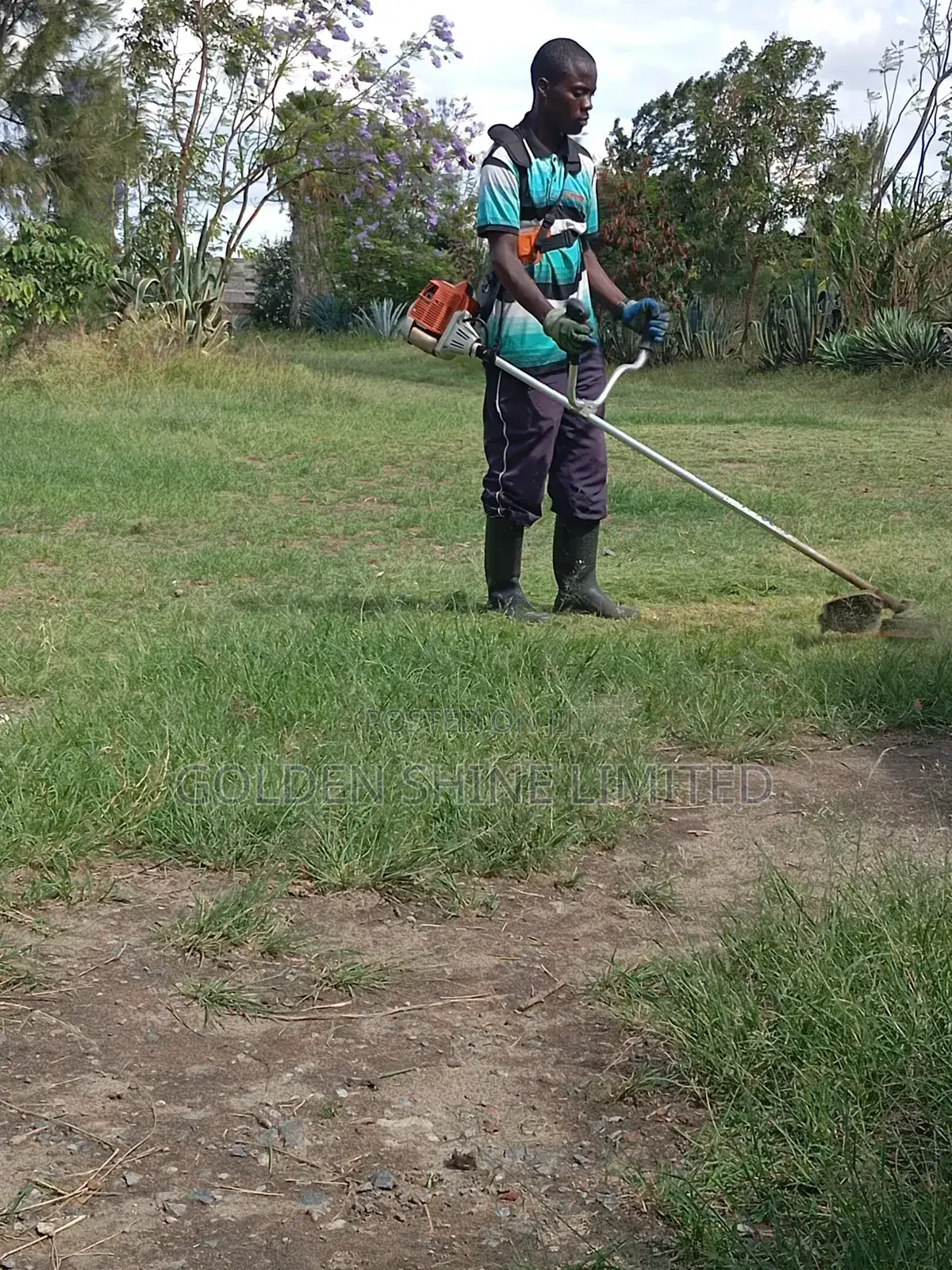 Grass Cutting and Flower Trimmings