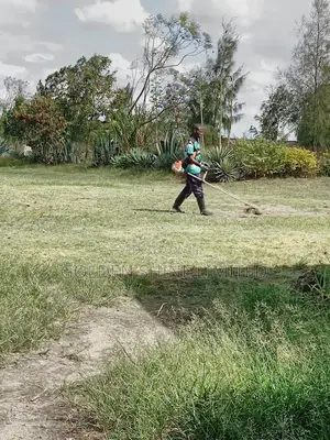 Grass Cutting and Flower Trimmings