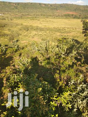 100 Acres Ilkisumeti(Near Eremit)