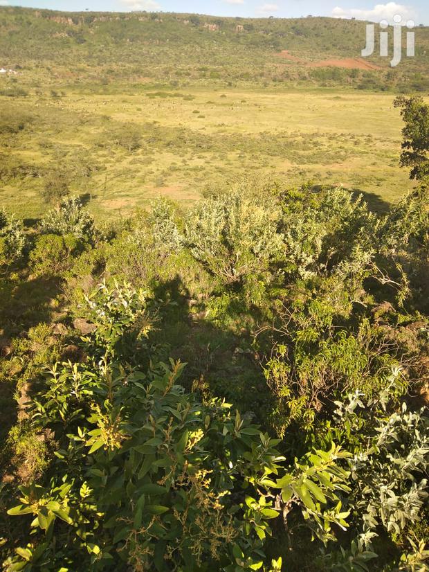 100 Acres Ilkisumeti(Near Eremit) - thumbnail 2