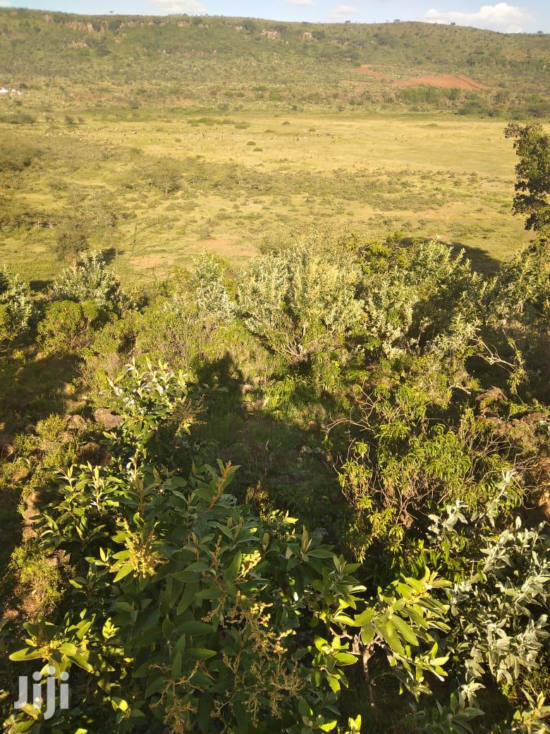 100 Acres Ilkisumeti(Near Eremit)