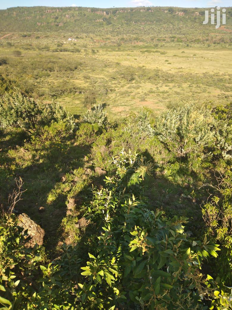 100 Acres Ilkisumeti(Near Eremit)