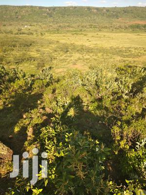 100 Acres Ilkisumeti(Near Eremit)