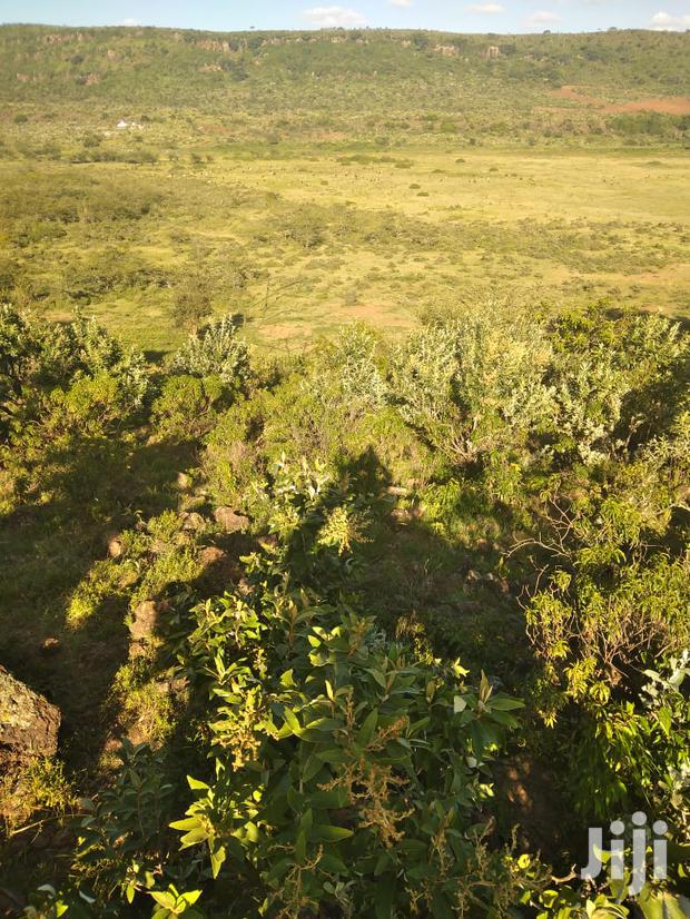 100 Acres Ilkisumeti(Near Eremit) - thumbnail 4