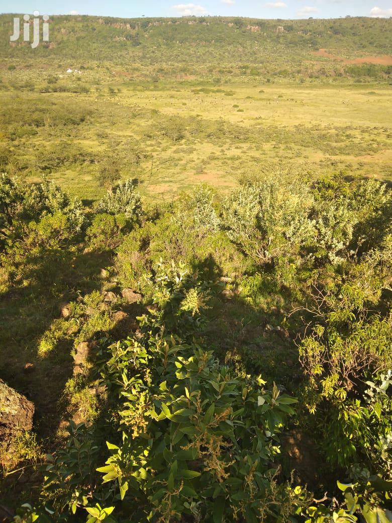 100 Acres Ilkisumeti(Near Eremit)