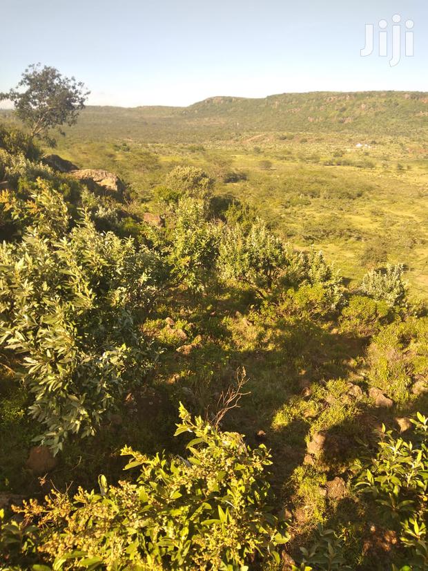 100 Acres Ilkisumeti(Near Eremit) - thumbnail 6