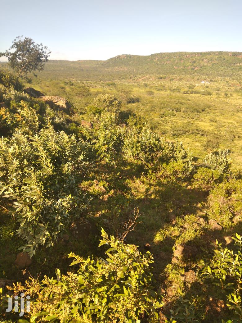 100 Acres Ilkisumeti(Near Eremit)