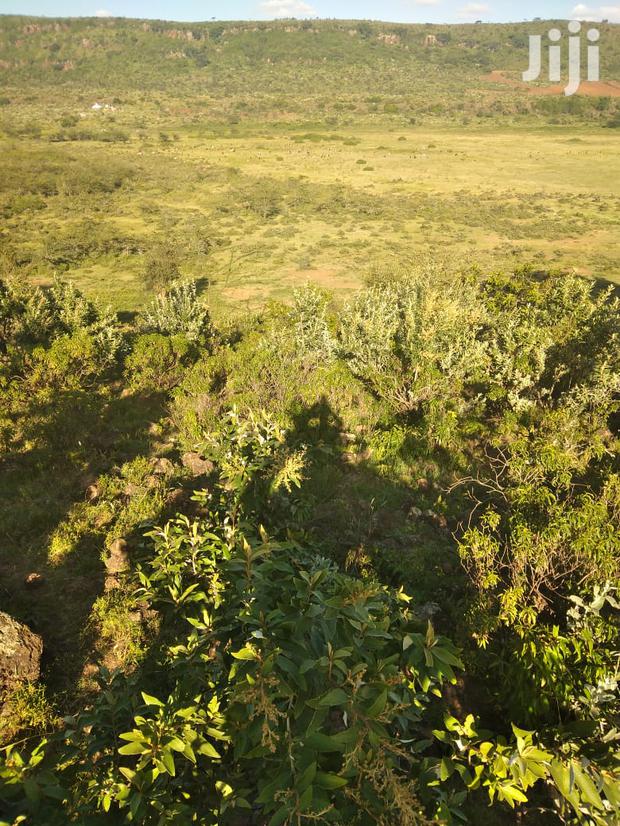 100 Acres Ilkisumeti(Near Eremit) - thumbnail 7