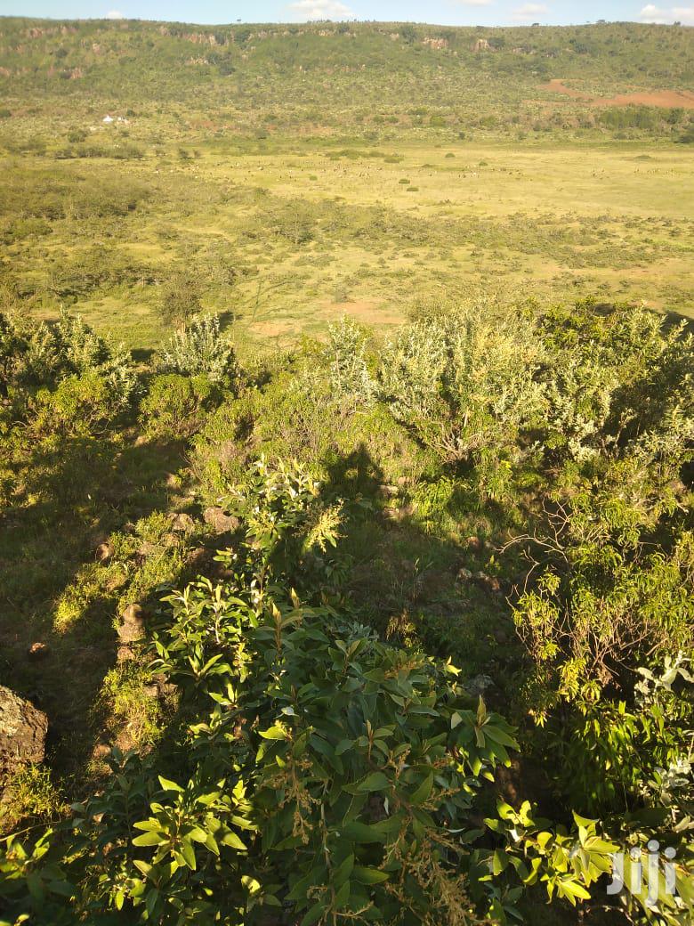 100 Acres Ilkisumeti(Near Eremit)