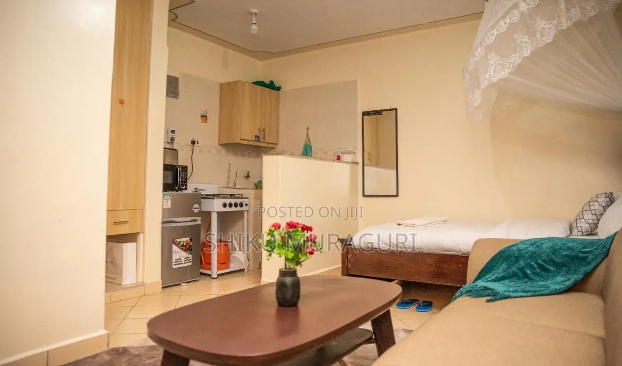 Air BNB Studio Apartment South B