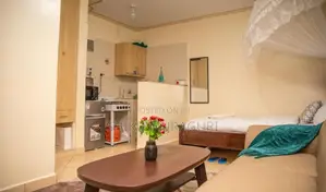 Air BNB Studio Apartment South B