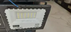 Ip Electric Floodlight 30 WATTS