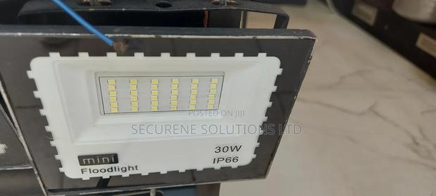 Ip Electric Floodlight 30 WATTS
