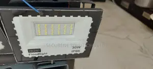 Ip Electric Floodlight 30 WATTS