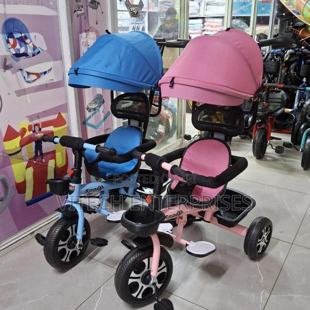 Kids Tricycle With Canop6 - main view